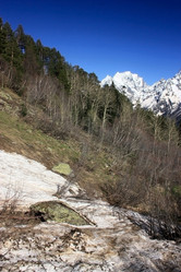 Similar image 1019243