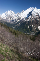 Similar image 1019245