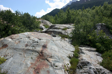 Similar image 1019246