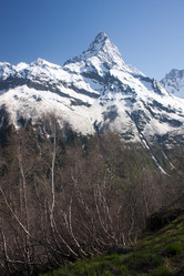 Similar image 1019248