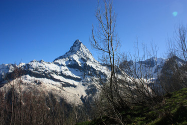 Similar image 1019254