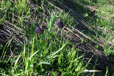 Similar image 1019265