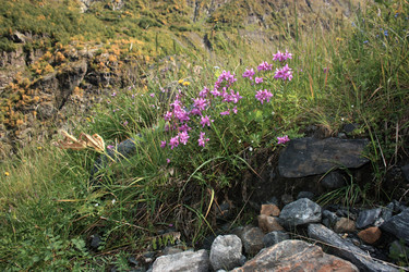 Similar image 1019267