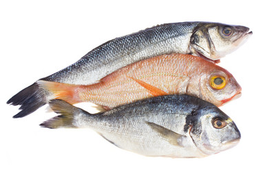 Similar image 1019270