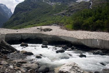 Similar image 1019271