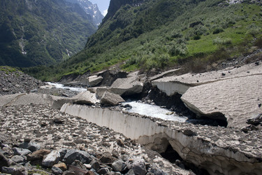 Similar image 1019276