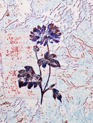 Similar image 1019279