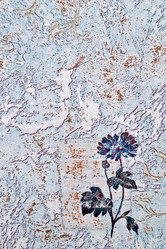 Similar image 1019280