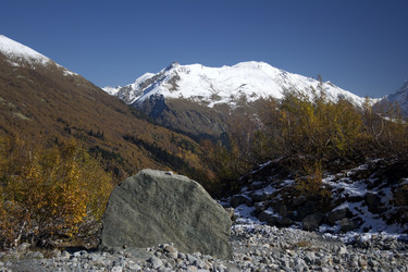 Similar image 1019284