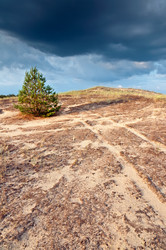 Similar image 1019301