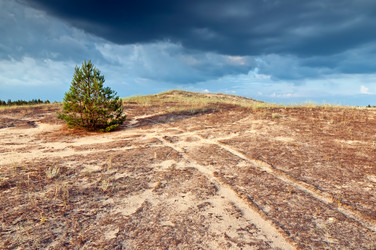 Similar image 1019302