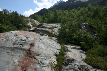 Similar image 1019306