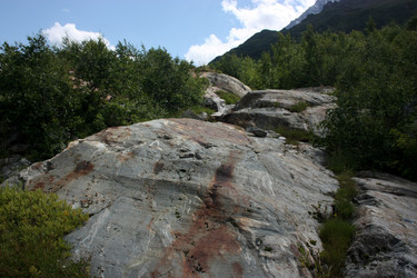 Similar image 1019307