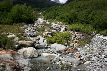 Similar image 1019311