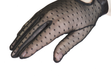 Similar image 1019333