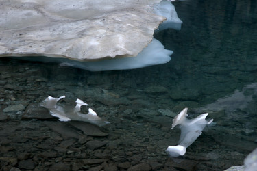 Similar image 1019339