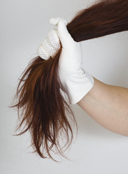 Similar image 1019340