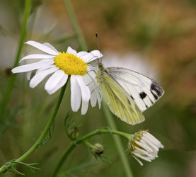 Similar image 1019345