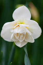 Similar image 1019348