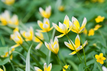 Similar image 1019350