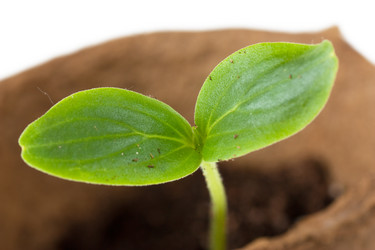 Similar image 1019355