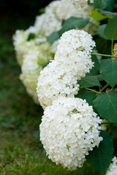 Similar image 1019359