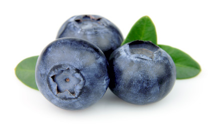 Similar image 1019365