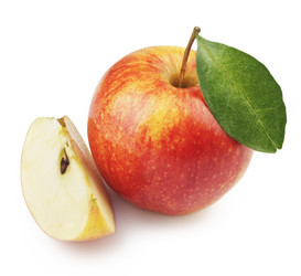 Similar image 1019378