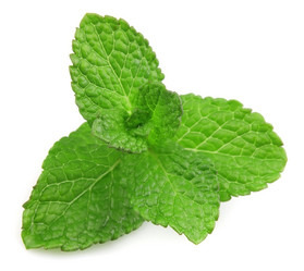 Similar image 1019384