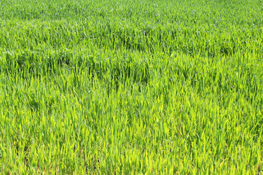 Similar image 1019463