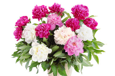 Similar image 1019467