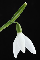 Similar image 1019477