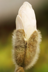 Similar image 1019480