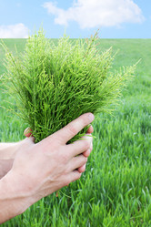 Similar image 1019494