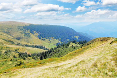 Similar image 1019506