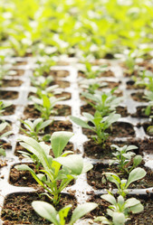 Similar image 1019518