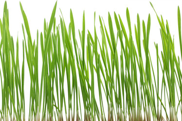 Similar image 1019523