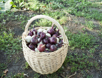 Similar image 1019527