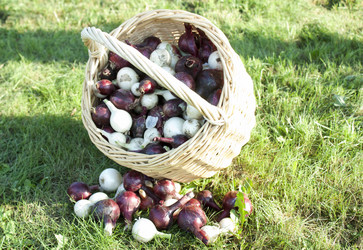 Similar image 1019528