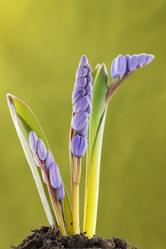 Similar image 1019551