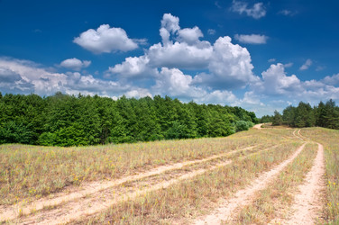 Similar image 1019555