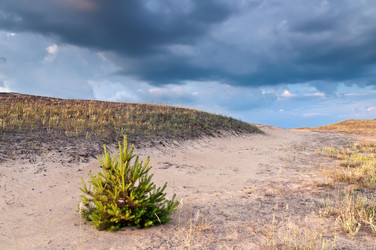 Similar image 1019556