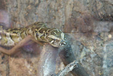 Similar image 1019562