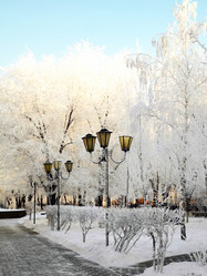 Similar image 1019577