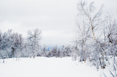 Similar image 1019605