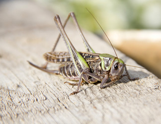 Similar image 1019609