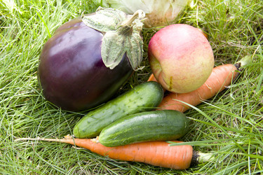 Similar image 1019613