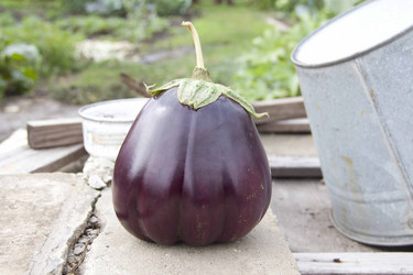 Similar image 1019615