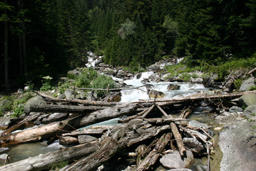 Similar image 1019649