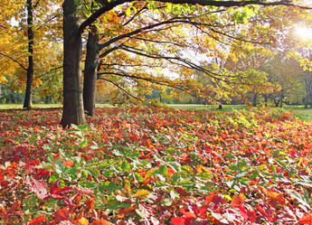 Similar image 1019674